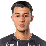 本沙伊布